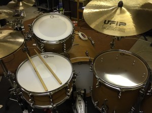 Aquarian Drumheads